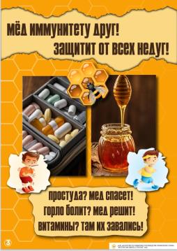 Мёд иммунитету друг
