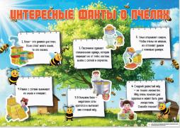 Интересные факты о пчелах. Часть 4